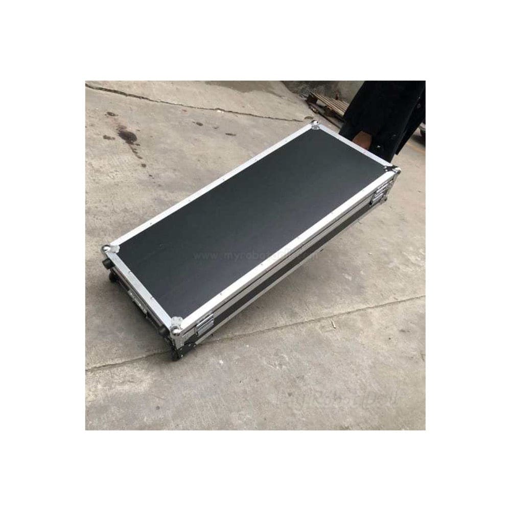 Customizable Discreet Flight Case For Sex Doll Storage Accessory