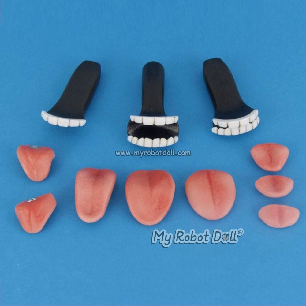 Sex Doll Normal Teeth Tongue Set By Wm Accessory