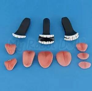 Resin Normal Teeth Pack