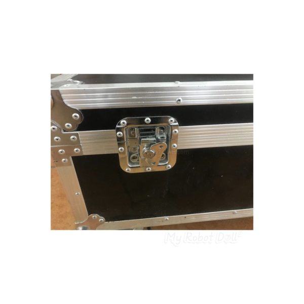 Customizable Discreet Flight Case for Sex Doll Storage - Image 5